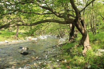 Először utazás Görögország, Paralia Katerini, Athén, Delphi, Litohoro Olympus