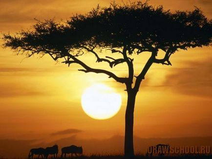 Landscape - Afrika