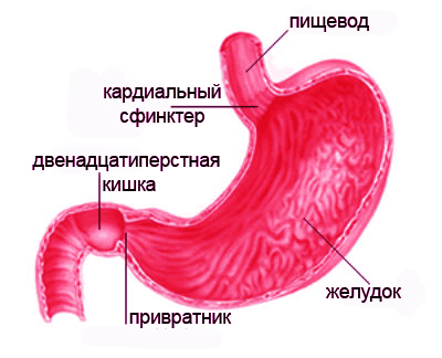 Pilorescenteza la cauzele și simptomele nou-născuților