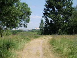 Strandok Strogino - napozni és úszni Moszkvában