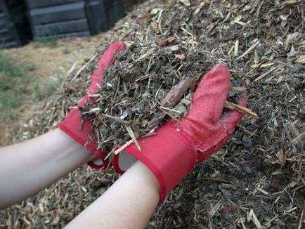 Чому краще відмовитися від частої перекопування грунту, справи городні ()