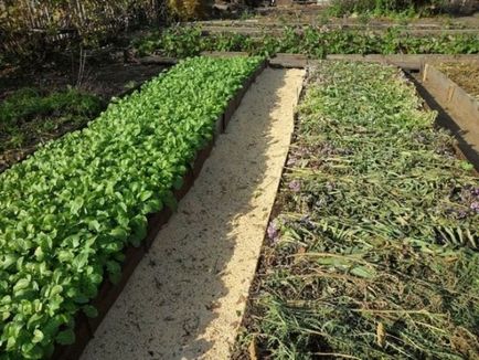 Чому краще відмовитися від частої перекопування грунту, справи городні ()