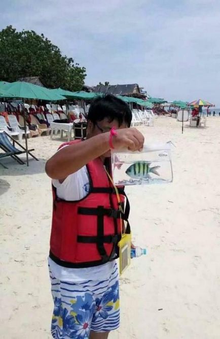 Miért Thaiföld turisták letartóztatták etetés a halakat és képek a tengeri élet, thaigovno