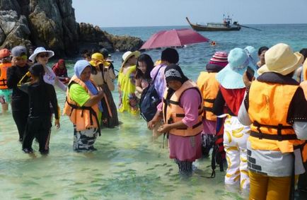 Miért Thaiföld turisták letartóztatták etetés a halakat és képek a tengeri élet, thaigovno