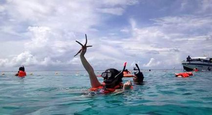 Чому в Таїланді заарештовують туристів за годування риб і фото з морськими мешканцями, thaigovno