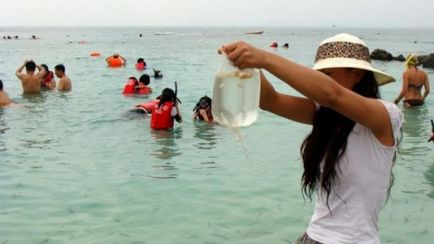 De ce în Thailanda sunt arestați turiștii pentru hrănirea peștilor și a fotografiilor cu viața marină, thaigovno