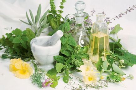 Beneficiile medicamentelor pe bază de plante sau beneficiile tratamentului pe bază de plante