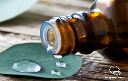 Beneficii și dăunătoare pentru uleiul de eucalipt pentru sănătatea umană