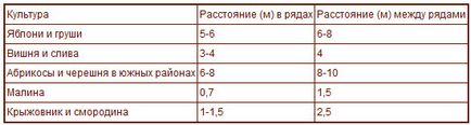 Правильне планування садової ділянки