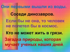 Презентація - світ українського кіно