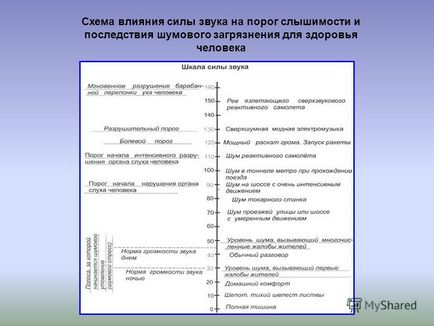 Prezentare pe tema unui proiect de mediu privind zgomotul ca factor de mediu - realizat de Mamychev