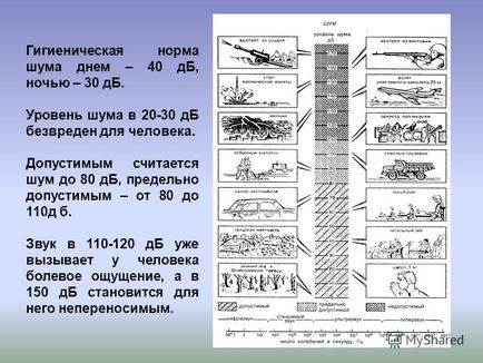 Prezentare pe tema unui proiect de mediu privind zgomotul ca factor de mediu - realizat de Mamychev