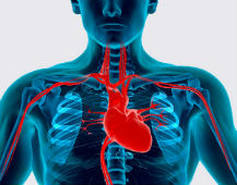 Recepția și consultarea unui cardiolog