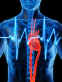 Recepția și consultarea unui cardiolog
