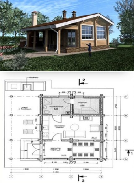 Proiecte de căzi de lemn cu grătar