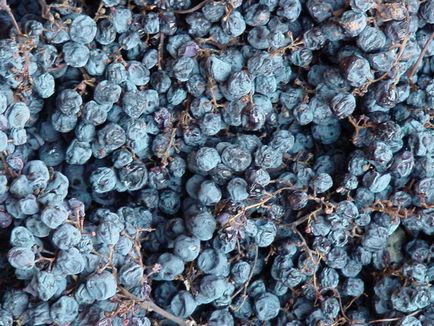 Recotto, vinuri amarone și ripasso - turism viticol și enocultură în Israel