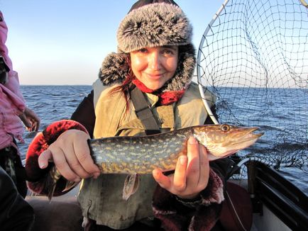 Риболовля дикуном в Карелії - куди поїхати, кращі місця, рибалка влітку, відео