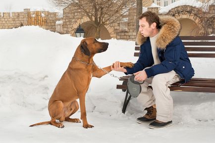 Ridgeback Garfield Micahala Trujina - orașul Zooinform