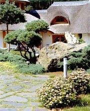 Рокарій - кам'янистий сад