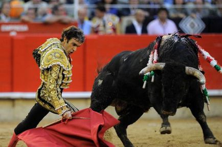 Ru, hogyan kell varrni jelmezek bullfighters - terraoko - a világot a szemed