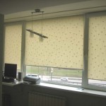 Рулонні штори на пластикові вікна - фото, 50 ідей штор
