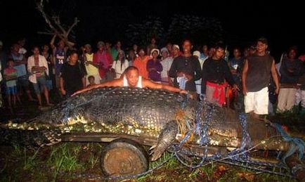 Cel mai mare crocodil din lume, fapte interesante