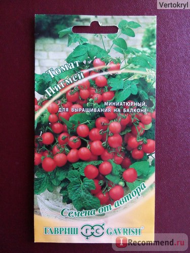 Насіння томатів Гавриш пігмей - «помідори а-ля черрі на моєму балконі! Скоростиглий томат пігмей
