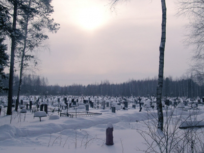 Шереметівське кладовищі, кладовища