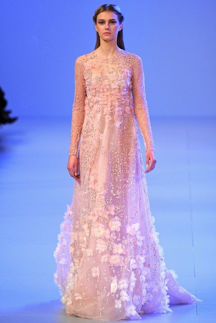 Chic rochii de la designerul elie saab (20 fotografii)