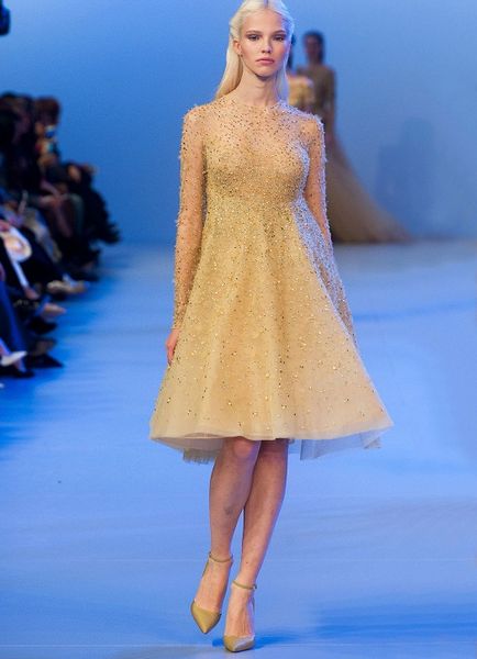 Chic rochii de la designerul elie saab (20 fotografii)