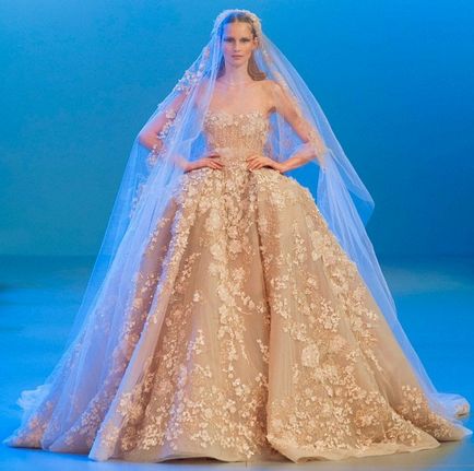 Шикарні сукні від дизайнера elie saab (20 фото)