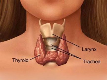 Efectul tratamentului glandei tiroide observat înaintea ochilor