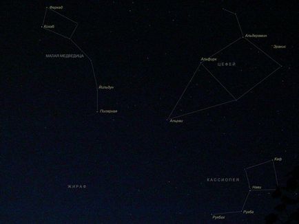 Constellation cepheus