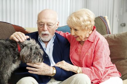 Старече зневіру як вселити оптимізм в людей похилого віку