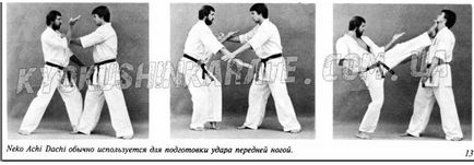 Rafturi în karate kiokushin