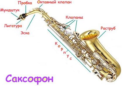 Structura saxofonului - mecanismul instrumentului și părțile sale