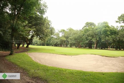 Construirea de terenuri de golf, dispozitivul unui teren de golf