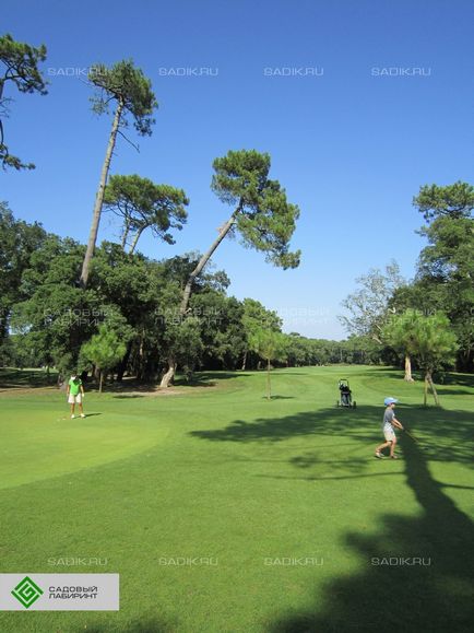 Építési golfpálya, golf felszerelés