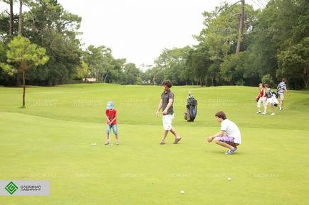 Construirea de terenuri de golf, dispozitivul unui teren de golf