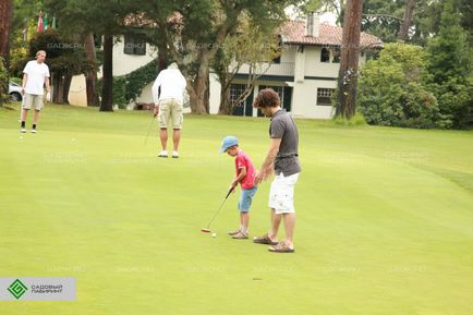 Construirea de terenuri de golf, dispozitivul unui teren de golf