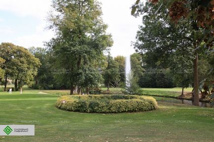 Construirea de terenuri de golf, dispozitivul unui teren de golf