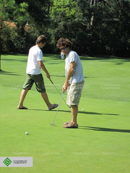 Construirea de terenuri de golf, dispozitivul unui teren de golf