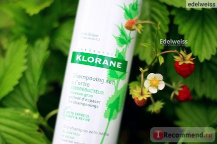 Șampon uscat cu cloran seboretic cu extract de urzică - 
