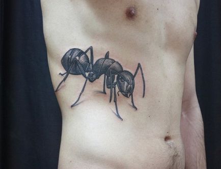 Тату мураха - все, що потрібно знати про татуювання