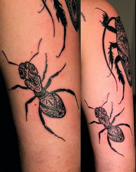 Тату мураха - все, що потрібно знати про татуювання