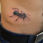 Ant tatuaje - înțeles, schițe și fotografii de inspirație