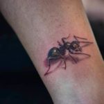 Ant tatuaje - înțeles, schițe și fotografii de inspirație
