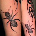 Ant tatuaje - înțeles, schițe și fotografii de inspirație