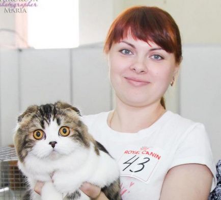 Cel mai bun dintre cele mai bune pisici din Tyumen