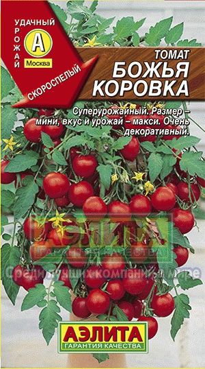 Томат сонечко купити насіння томатів оптом оптом і в роздріб від виробника